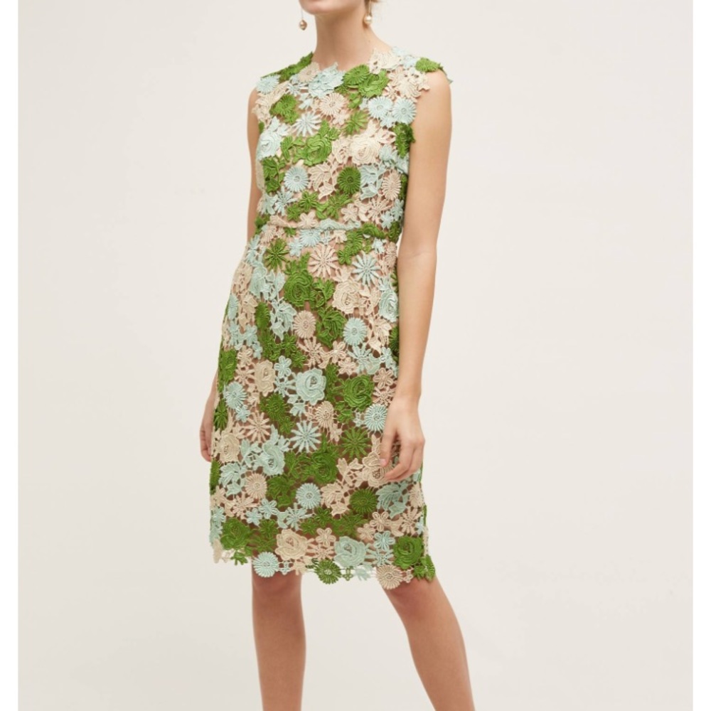 Anthropologie Lace Garden Pencil Dress size 6